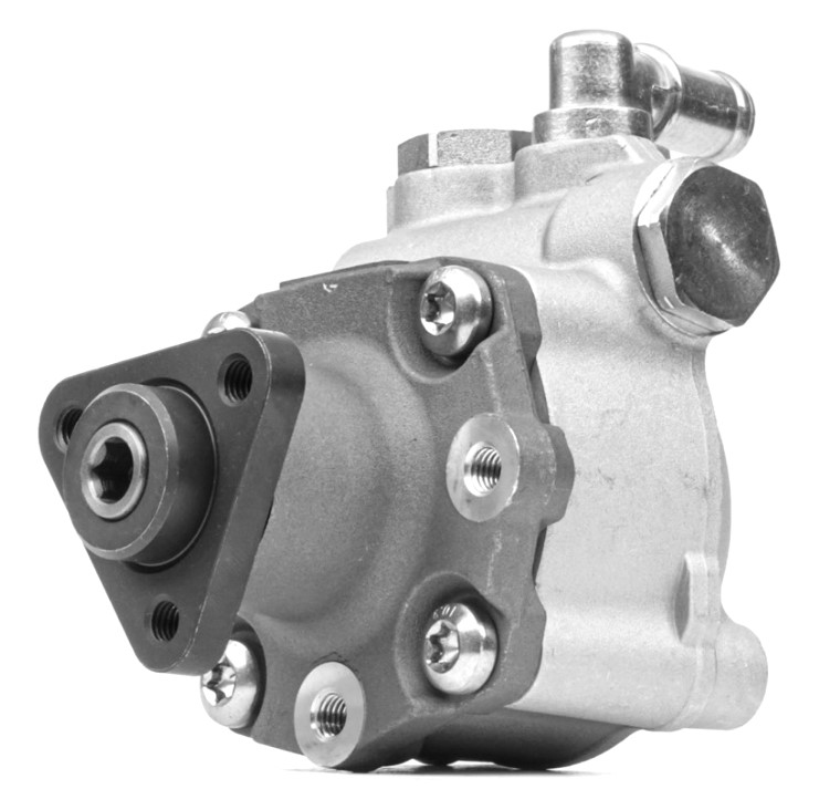 Pompa wspomagania BMW 5 (E60) 12.01-03.10 530 d S5020042